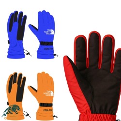 دستکش دوپوش نورث فیس